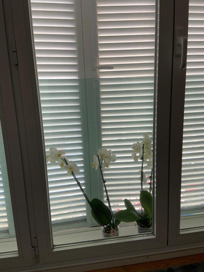 Apartamento Estudio Parking Centro Puerta Del Sol *